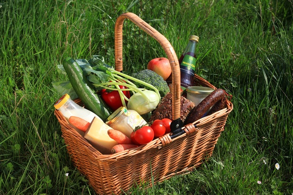 Renovagreen  Toilet Paper