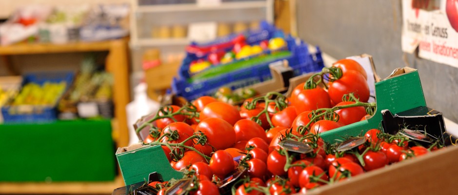 Renovagreen  Toilet Paper